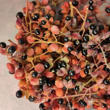 Zanthoxylum giraldii